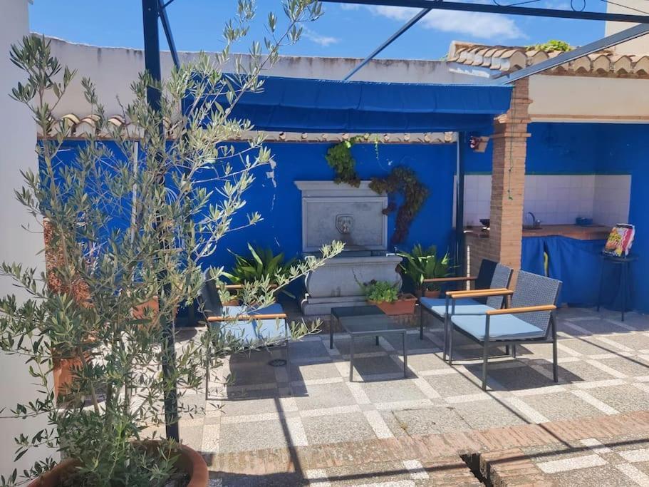 Lolas Cozy Studio グラナダ エクステリア 写真